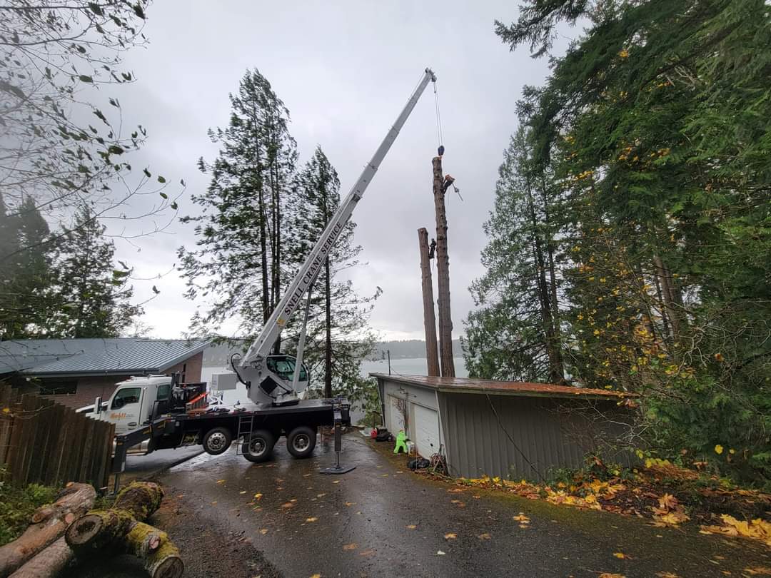 Truck with crane